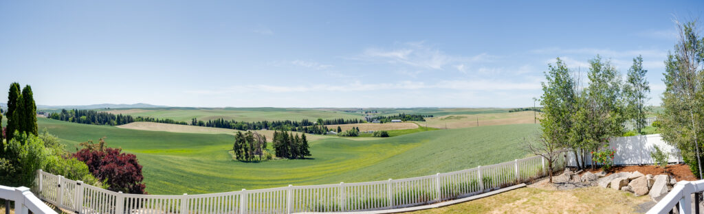 PANO-1