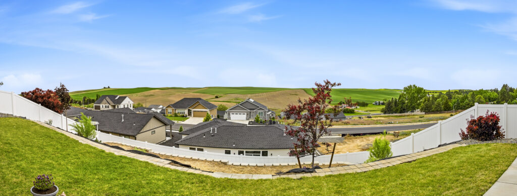 PANO-1