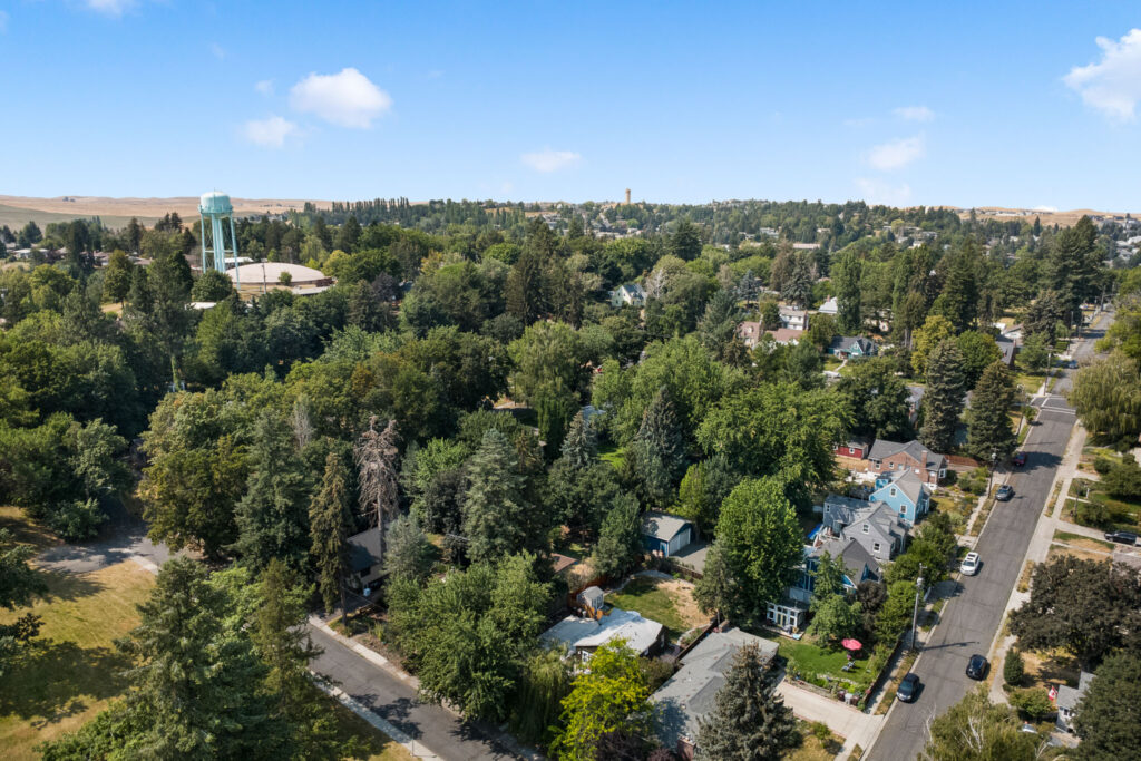 DJI_0141