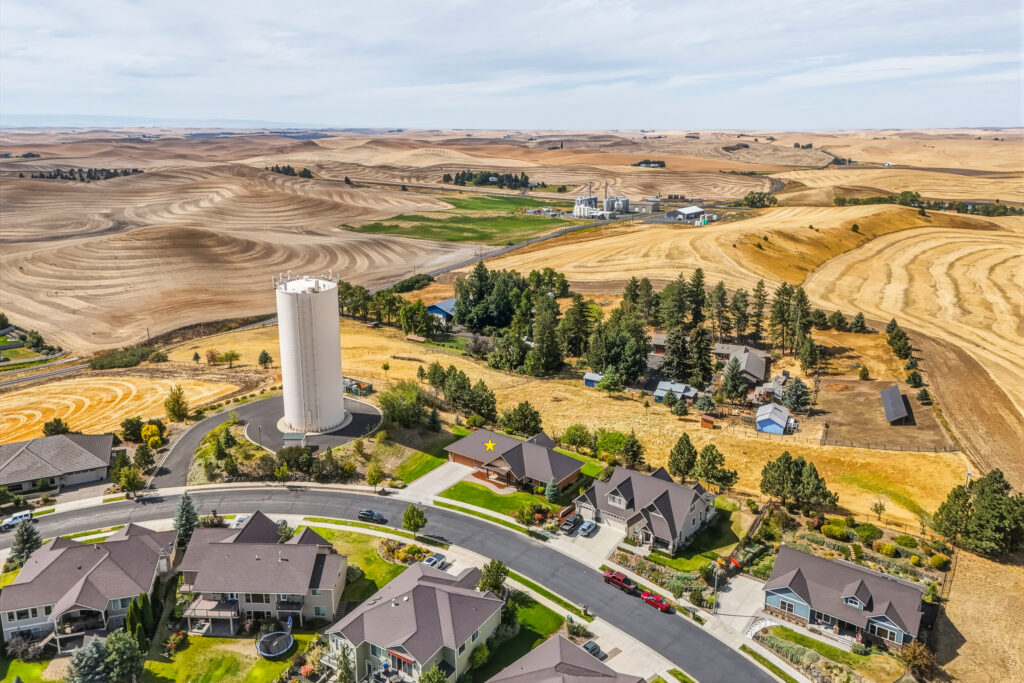 EXT-19